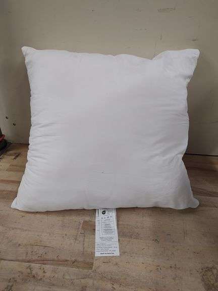 Polyester Pillow Insert Pack, 2ct, 22" x 22" ea. | Open Box | (See Condition Notes)