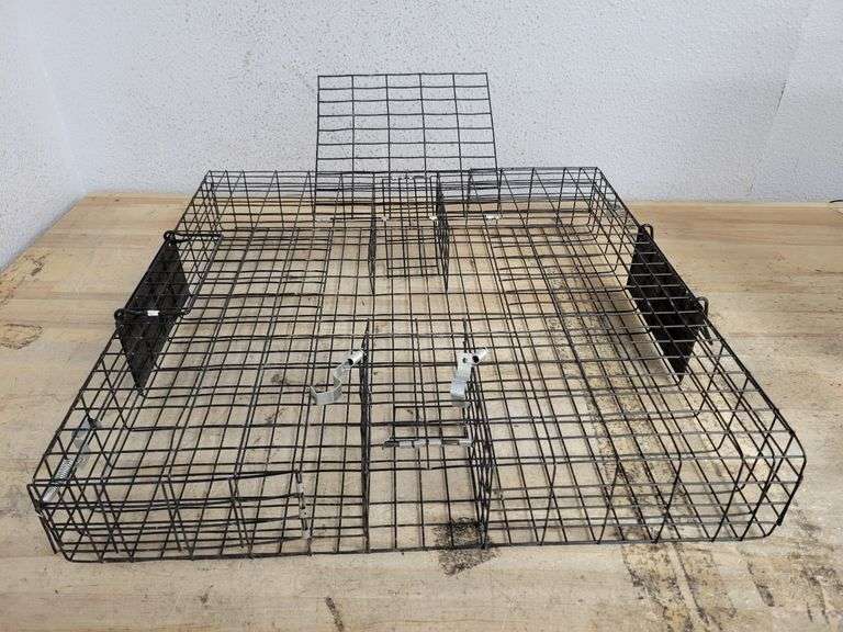 CATCHMOR The Squirrelinator | Open Box