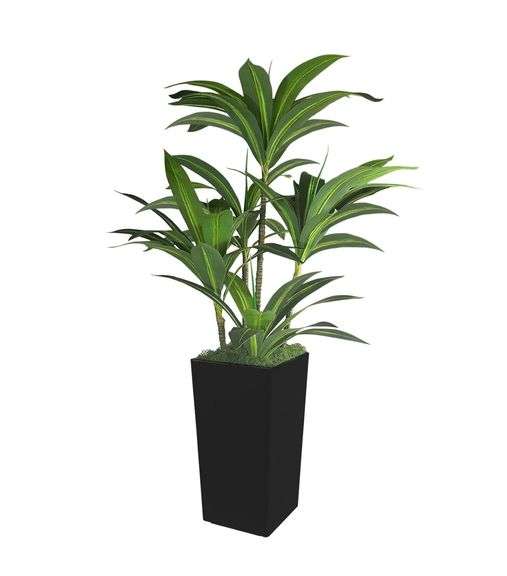 Artificial Dracaena Tree, 5' | Open Box