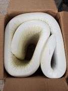 Thick Foam Pool Float | Open Box