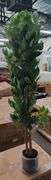 7' Tall Artificial Ficus Tree w/ Pot | Open Box