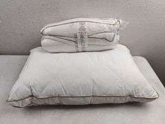 OekoTex Goose Feather Down Pillow, 2pk | Open Box