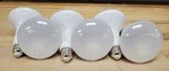 Ecosmart 65W Bulbs 6 Pack | Open Box