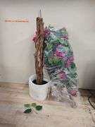 GAOMON Artificial Bougainvillea Shrub, 4' | Open Box | (See Condition Notes)