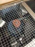 ZENITHX Chicken Poultry Plucker 2200W | Damaged | (See Condition Notes)