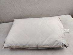 OekoTex Goose Feather Down Pillow, 2pk | Open Box