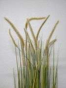 KOL Artificial Reed Grass, 5Ft | Open Box