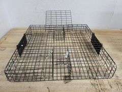 CATCHMOR The Squirrelinator | Open Box