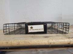 CATCHMOR The Squirrelinator | Open Box