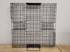 CATCHMOR The Squirrelinator | Open Box