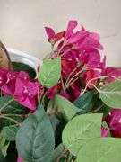 GAOMON Artificial Bougainvillea Shrub, 4' | Open Box | (See Condition Notes)