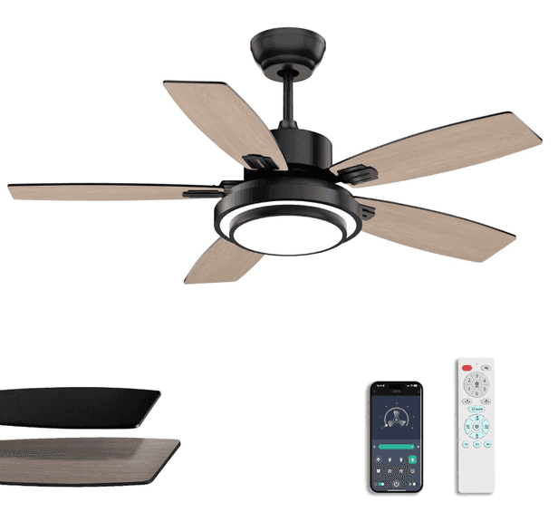 Ceiling Fan With Light | Open Box - Rio Grande Trade