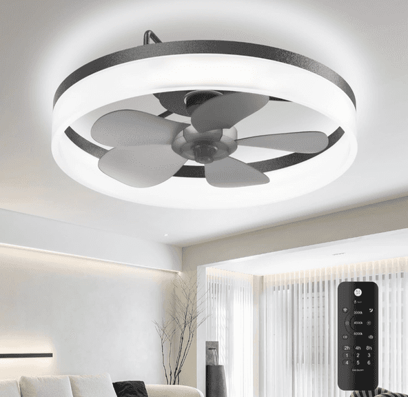 Ceiling Fan With Light | Open Box