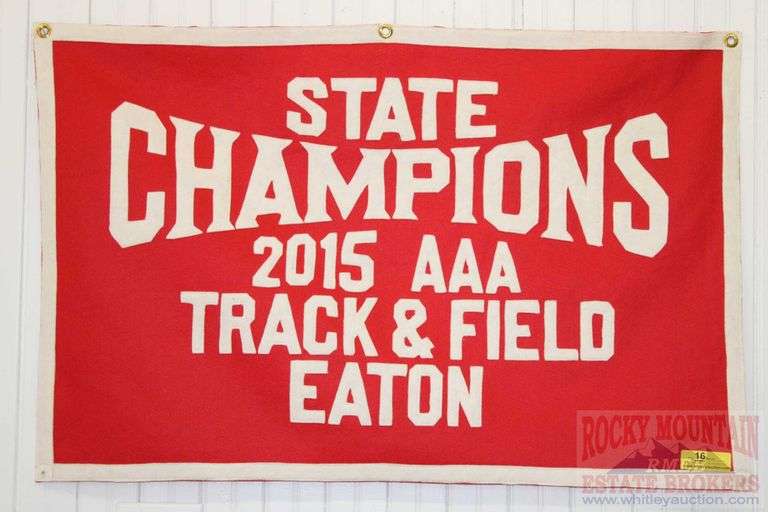 GIRLS TRACK STATE CHAMP 2015 CLASS AAA, FROM EATON, COLORADO SCHOOLS.  24" x 36"