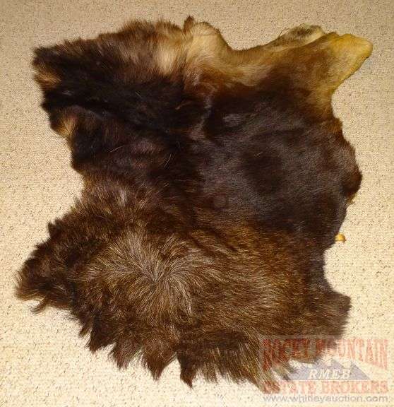 Tanned Bear? Hide. 48x37. Rocky Mountain Estate Brokers Inc.