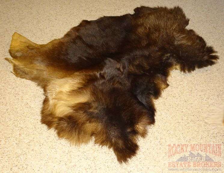 Tanned Bear? Hide. 48x37. Rocky Mountain Estate Brokers Inc.
