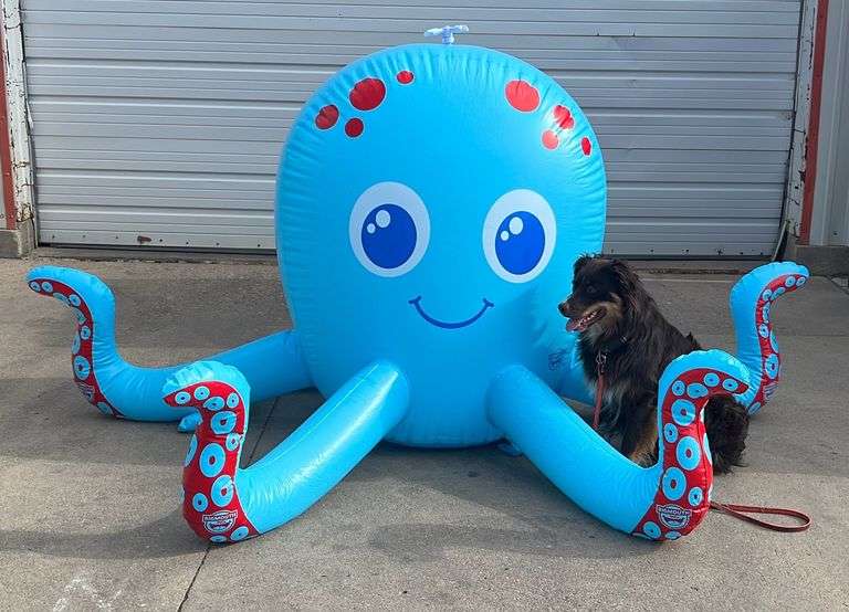 Super Cool 54" Diameter Inflatable Octopus Sprinkler.  He is 8' in diameter with a sprinkler on top of his head. This does not come with a box.