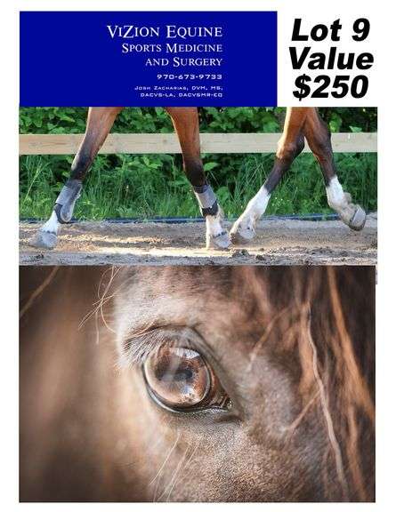 Vizion Equine Sports Medicine Gift Card. Value: $250