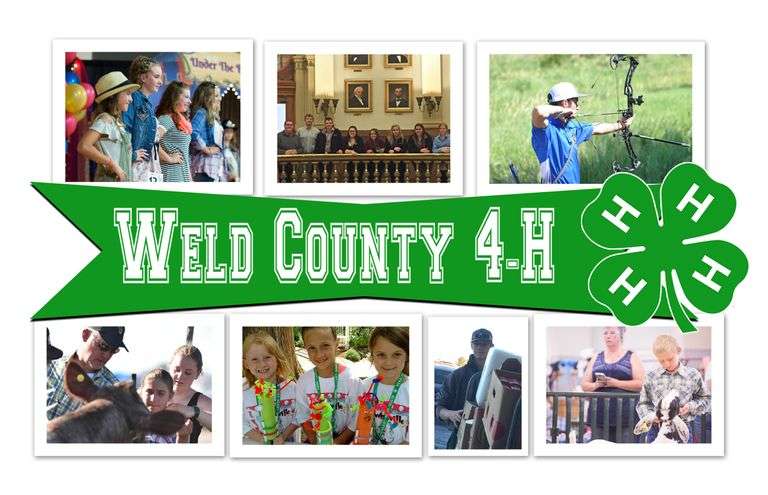 2025 Weld County 4-H Online Fund Raising Auction