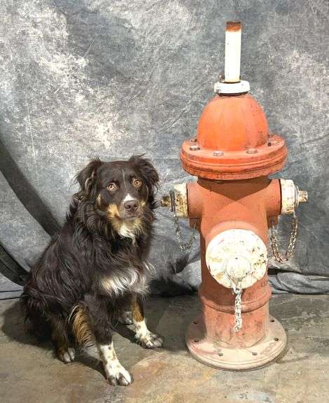 Vintage 1972 Mueller Fire Hydrant Flagpole Base - Ready for America's ...