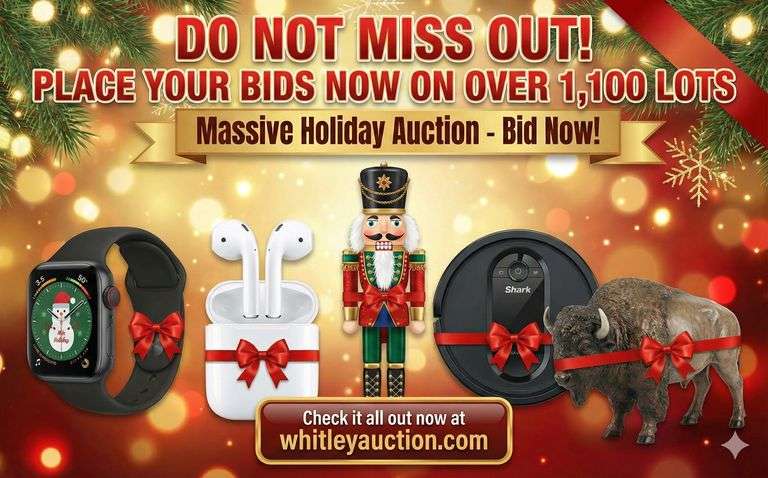 Massive Pre-Christmas Holiday Online Auction #2