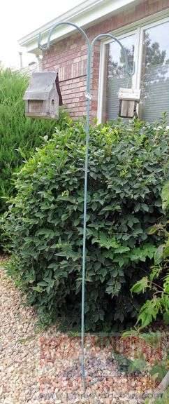 Shepherd's Hook with 2 Birdhouses. All for one money.