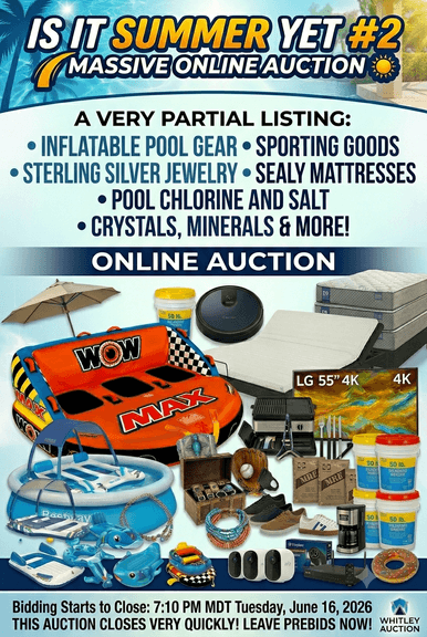 Is It Summer Yet #2 Massive Online Auction.