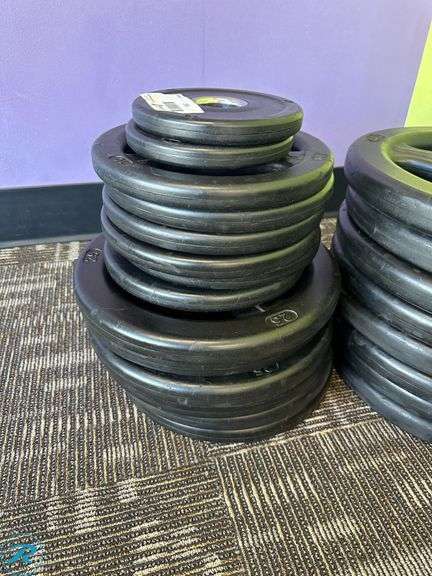 Rubber Weight Plates; (8) 45lb, (6) 25lb, (6) 10lb and (2) 5lb - Roller Auctions