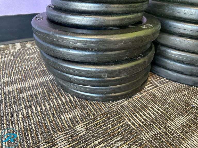 Rubber Weight Plates; (8) 45lb, (6) 25lb, (6) 10lb and (2) 5lb - Roller Auctions
