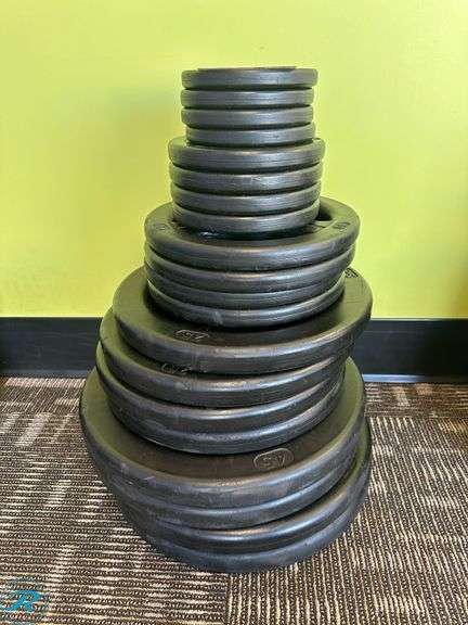Rubber Weight Plates; (4) 45lb, (4) 25lb, (4) 10lb, (4) 5lb and (4) 2.5lb - Roller Auctions