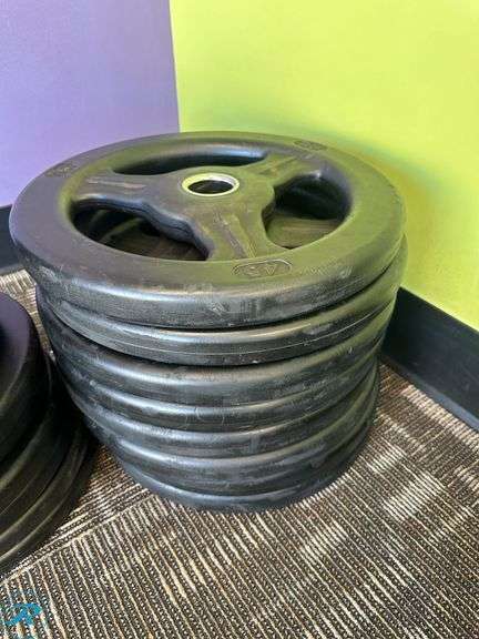 Rubber Weight Plates; (8) 45lb, (6) 25lb, (6) 10lb and (2) 5lb - Roller Auctions