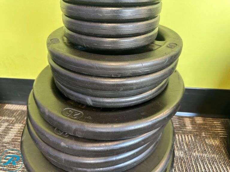 Rubber Weight Plates; (4) 45lb, (4) 25lb, (4) 10lb, (4) 5lb and (4) 2.5lb - Roller Auctions