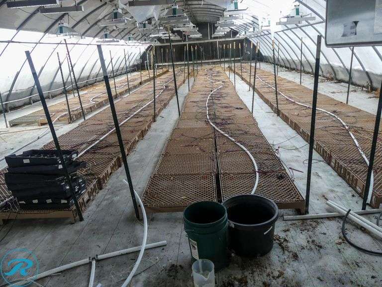 Approximately (650) Brown Trays - Roller Auctions