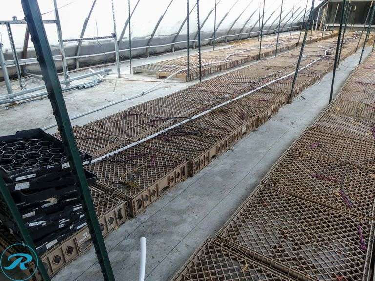 Approximately (650) Brown Trays - Roller Auctions