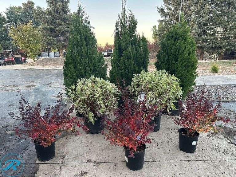 Landscape package A
