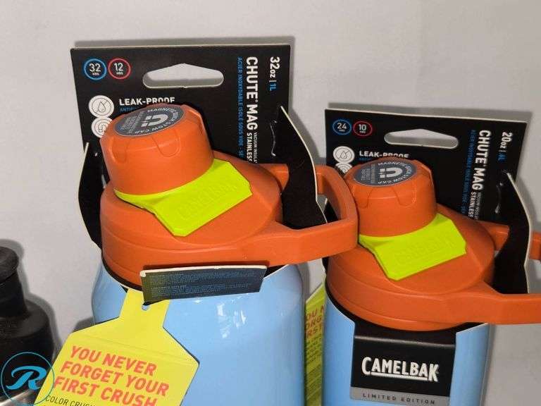 (4) Metal Bottles Including CamelBak Chute Mag and Giant Aluminum Models - Roller Auctions