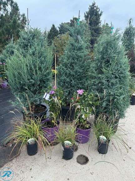 Landscape Package C