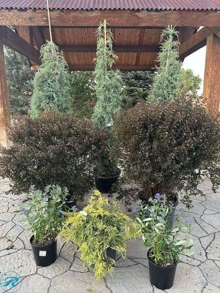 Landscape package B