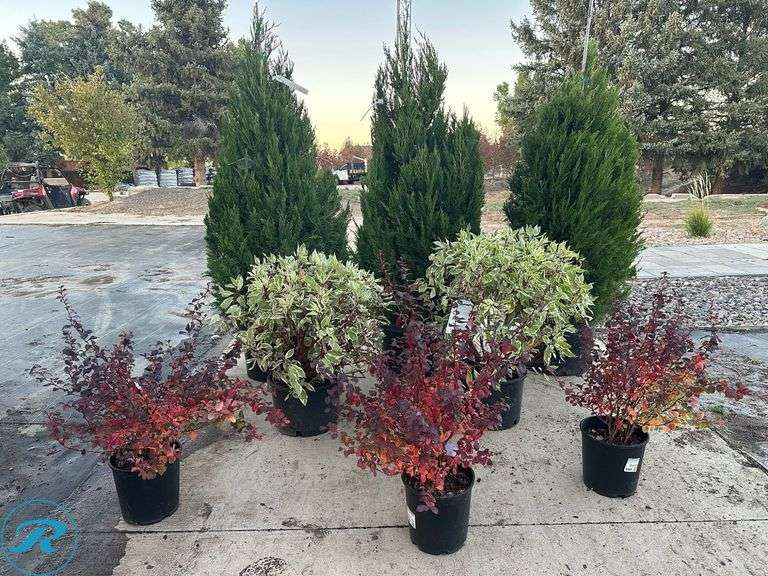 Landscape package A