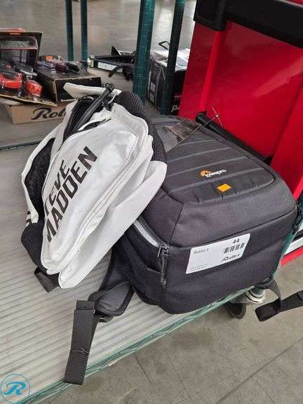 Steve Madden Backpack and Lowepro Camera Bag