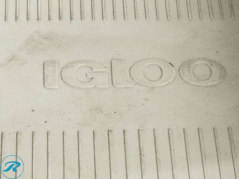 Igloo White Insulated Cooler With Hinged Lid and Handles - Roller Auctions