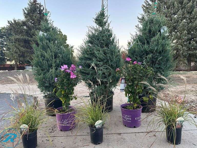 Landscape package C