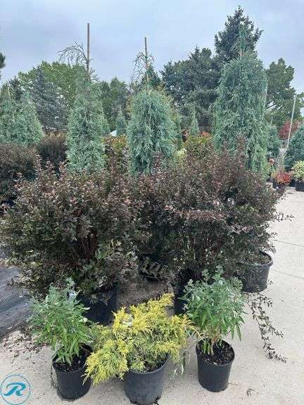Landscape Package B
