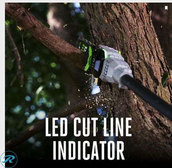 EGO: Power Pole Saw, 10''- New - Roller Auctions