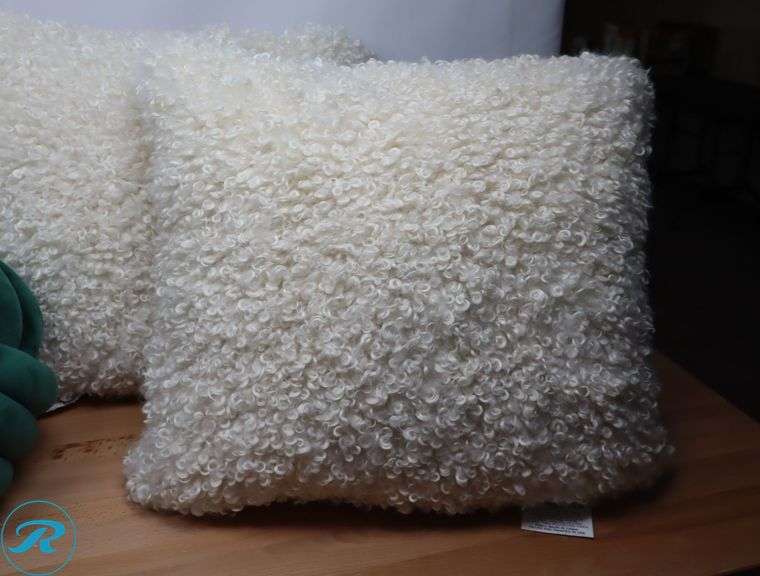 (6) Assorted Throw Pillows - Like New - Roller Auctions