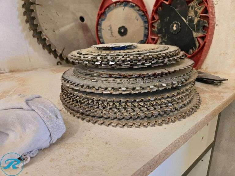 Assorted Circular Saw Blades in Various Sizes and Styles - Roller Auctions