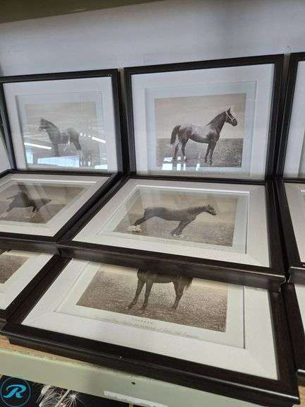 (9) Framed Black and White Horse Photographs in Matted Frames - Roller Auctions