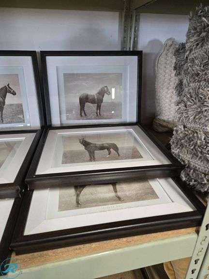 (9) Framed Black and White Horse Photographs in Matted Frames - Roller Auctions