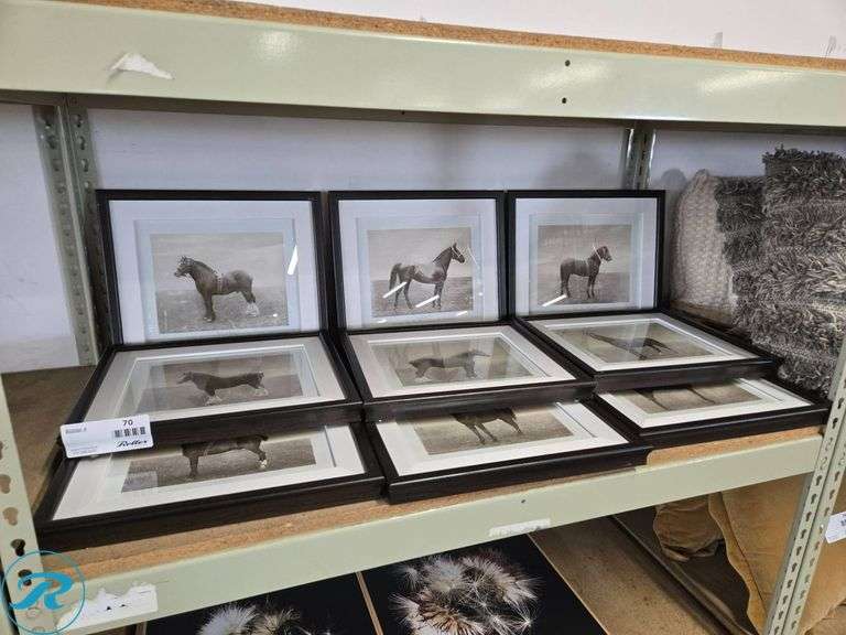 (9) Framed Black and White Horse Photographs in Matted Frames - Roller Auctions