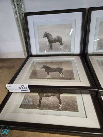 (9) Framed Black and White Horse Photographs in Matted Frames - Roller Auctions